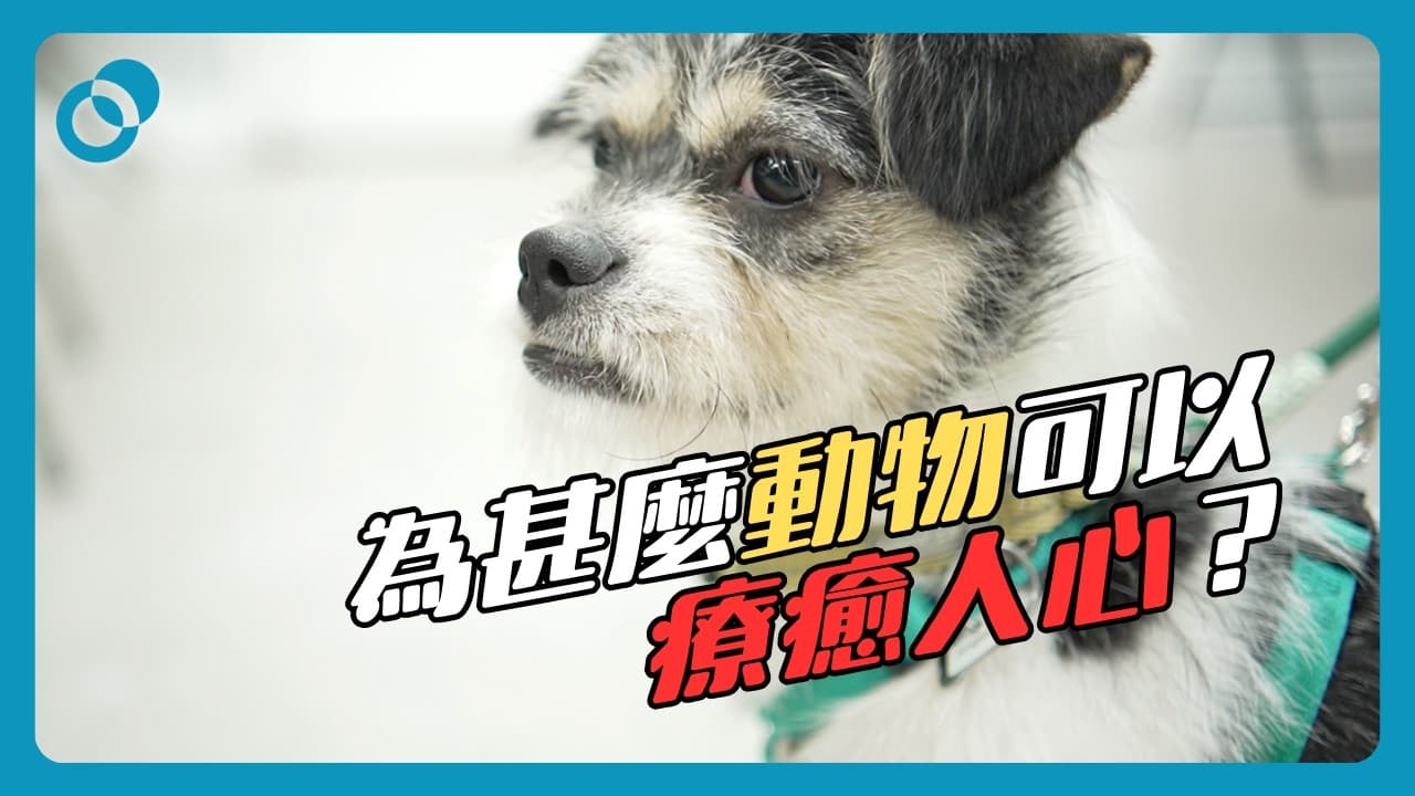 動物輔助治療：狗為何能療癒人心