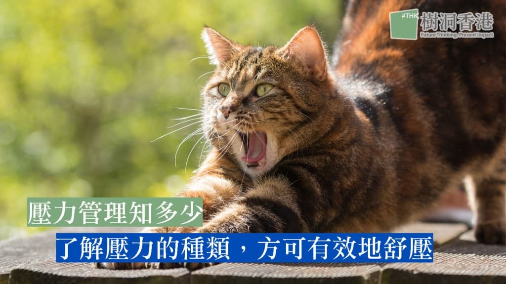 壓力管理