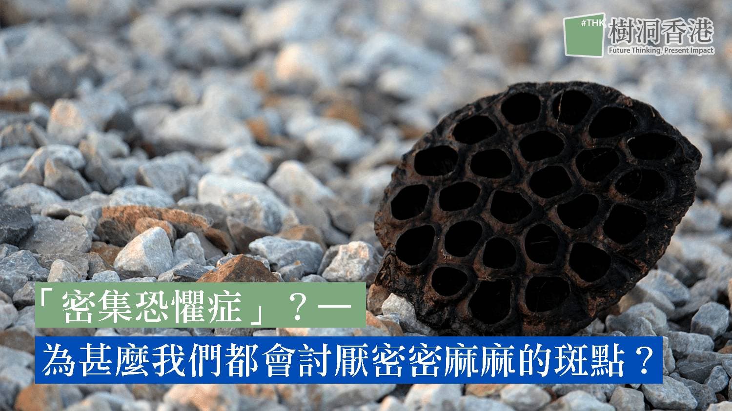 Why Clusters of Tiny Holes Disgust Us