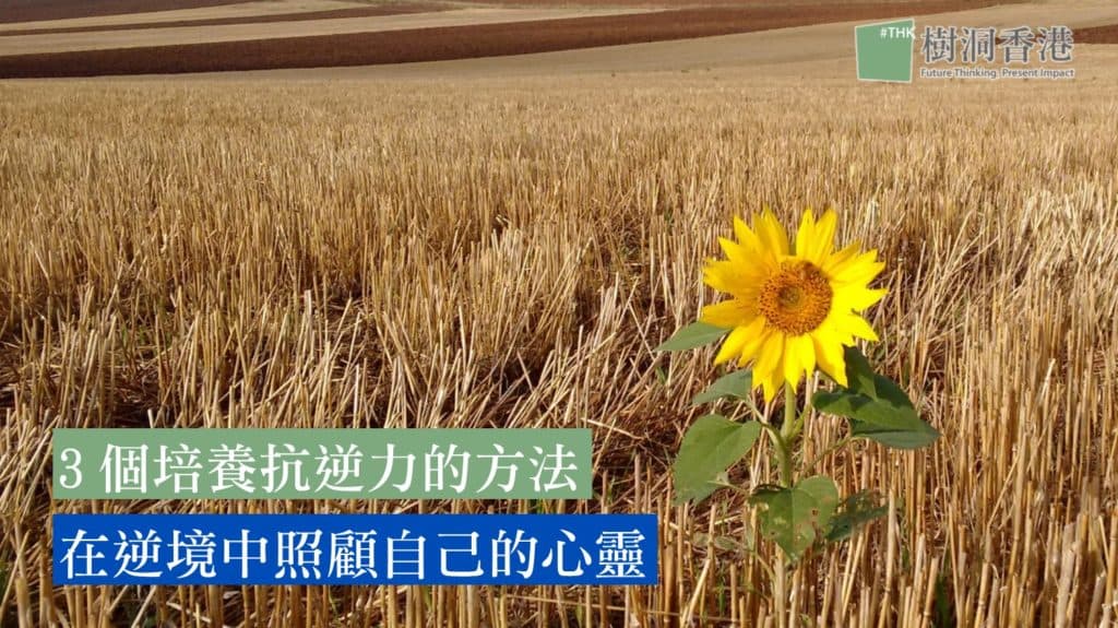 抗逆力