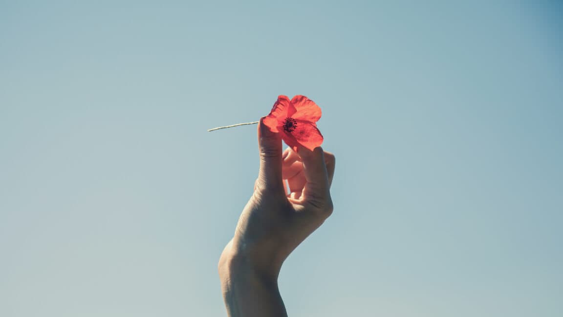 Why Coincidences Feel Like Fate