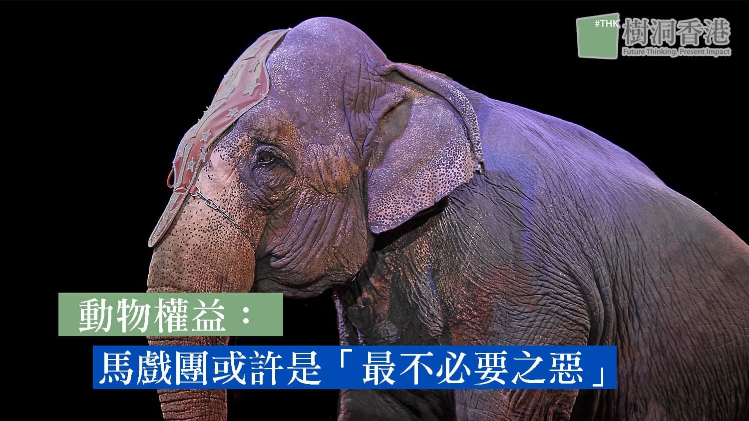 動物權益：馬戲團或許是「最不必要之惡」
