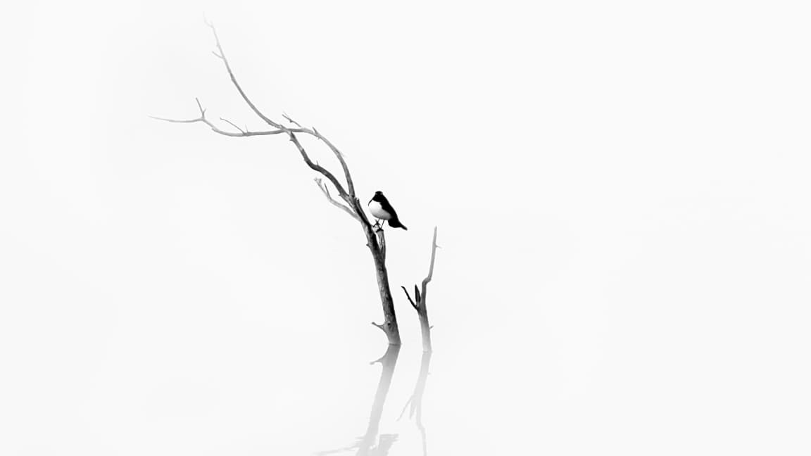 Why Less Might Be the Path to Calm