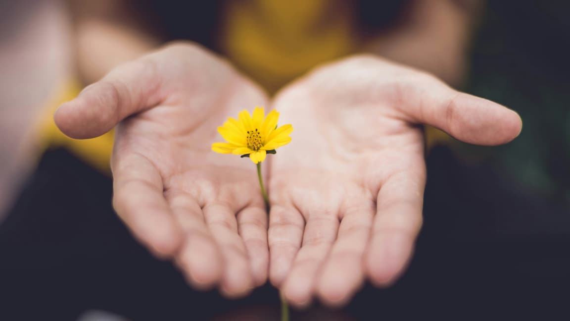 Givers Don't Have to Finish Last