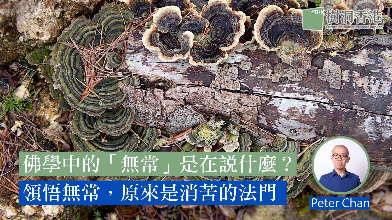 佛學中的「無常」是在說什麼?領悟無常,原來是消苦的法門