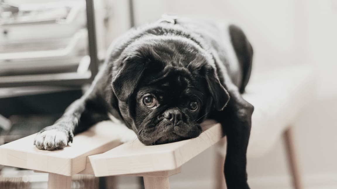 What Your Boredom Is Really Telling You