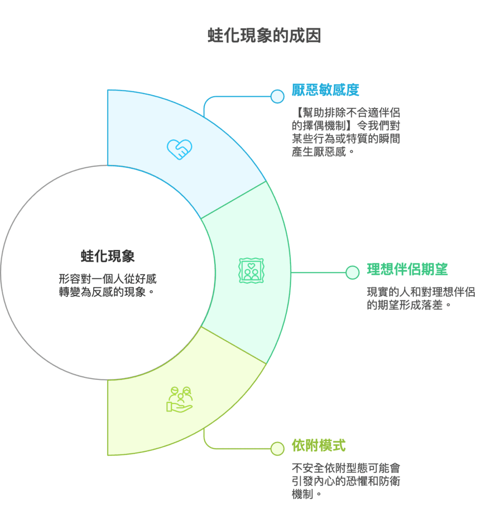 「蛙化現象的成因」環形圖:中央說明蛙化現象是對一個人由好感轉為反感,外圈列出厭惡敏感度、理想伴侶期望與依附模式三個成因