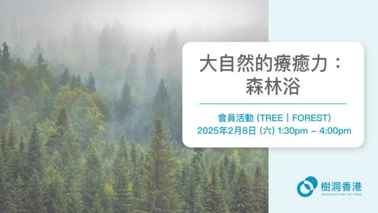 大自然的療癒力:森林浴