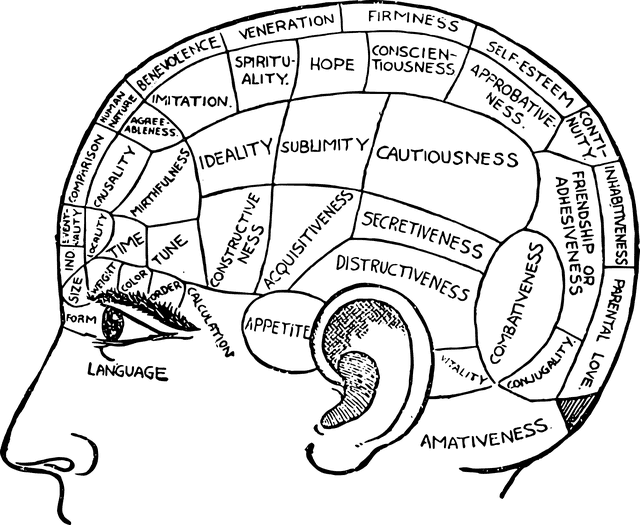 顱相學(Phrenology)頭部圖解:頭骨被劃分成多個區域,各自標示不同的性格特質與心理功能