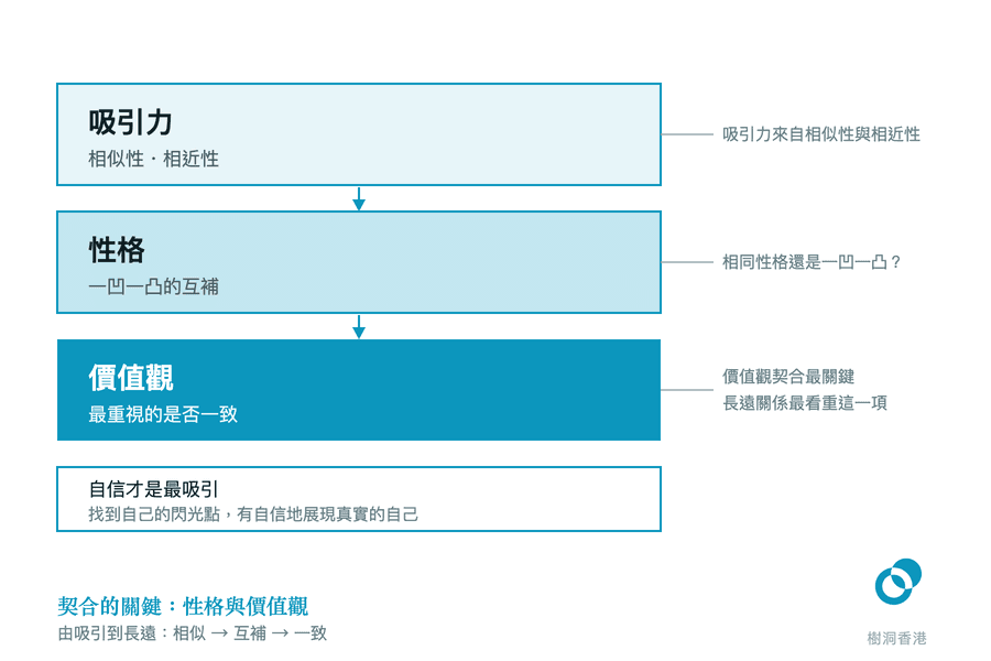 圖中由淺到深疊起三條橫帶——吸引力(相似性・相近性)、性格(一凹一凸的互補),以及以實色填滿、分量最重的價值觀(最重視的是否一致),右側引線註明價值觀契合最關鍵,底部另有一條「自信才是最吸引」的提示。 圖:樹洞香港