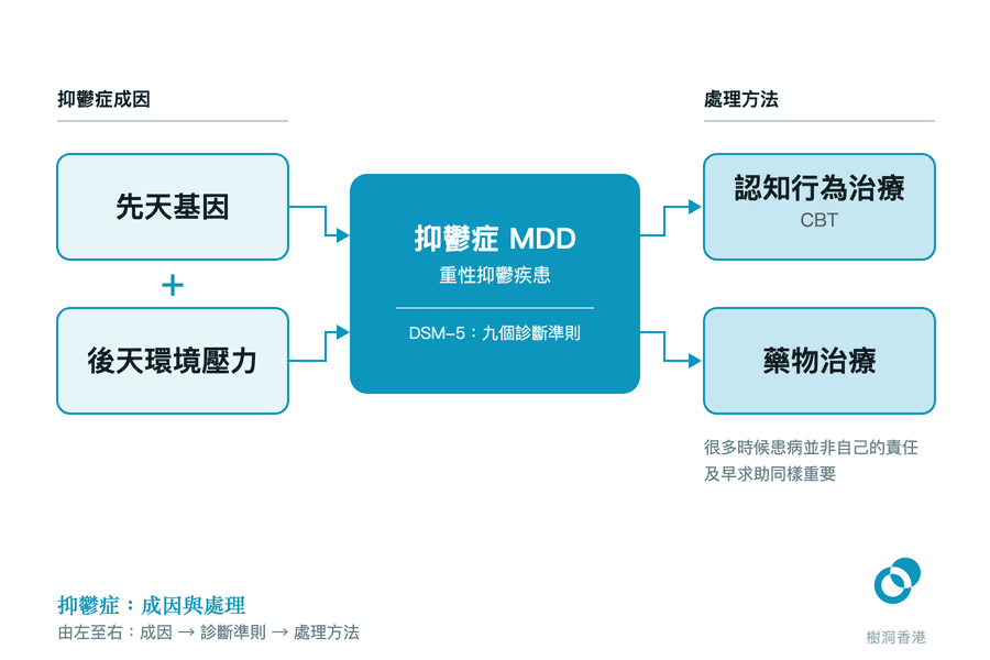 由左至右畫出抑鬱症的路徑:先天基因與後天環境壓力兩個成因匯入中央的重性抑鬱疾患(DSM-5 九個診斷準則),再分岔到認知行為治療與藥物治療兩種處理方法。 圖:樹洞香港