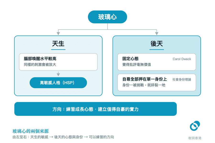 頂部「玻璃心」分出兩支:左邊「天生」由腦部喚醒水平較高、同樣刺激被放大,收束成「高敏感人格(HSP)」,右邊「後天」並列固定心態(覺得批評毫無價值)與自尊全部押在單一身份上(身份一被挑戰就碎裂一地),最底一條深色帶寫出方向——練習成長心態、建立值得自豪的實力。 圖:樹洞香港