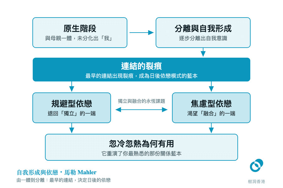 圖中由「原生階段」與「分離與自我形成」兩格接入一條深色的「連結的裂痕」橫帶,橫帶再向下分叉成「規避型依戀」與「焦慮型依戀」兩端,中間標着獨立與融合的永恆課題,最後一同收攏到「忽冷忽熱為何有用」一格。 圖:樹洞香港