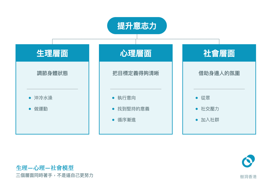頂部「提升意志力」的標籤向下分出三條線,連到生理、心理、社會三個並列面板,各自列出沖冷水澡與做運動、執行意向與找到堅持的意義、從眾與社交壓力等具體方法。 圖:樹洞香港