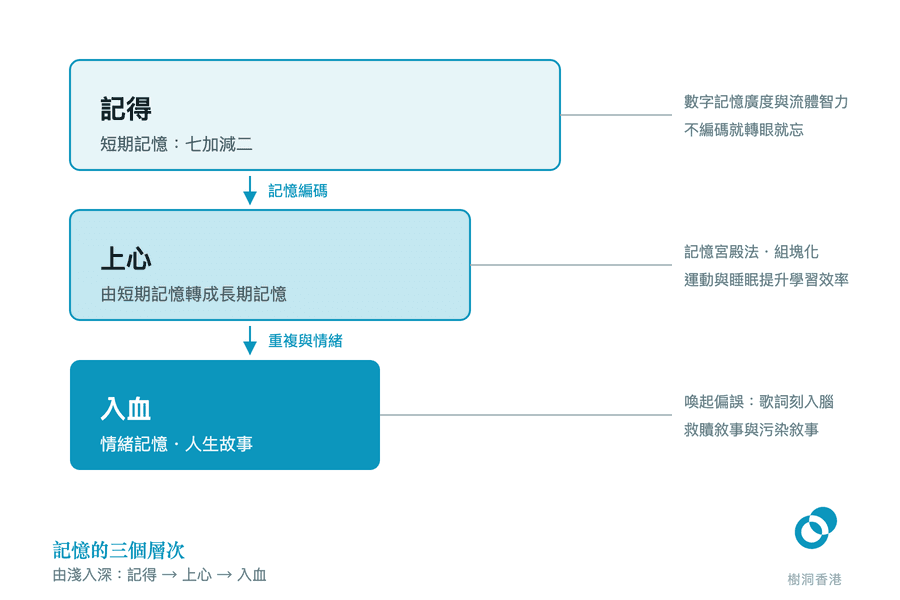 三層由淺而深、逐層收窄的橫帶:由最上的「記得」經記憶編碼落到「上心」,再靠重複與情緒沉到最深色的「入血」,右邊引線標出每一層對應的心理學概念。 圖:樹洞香港