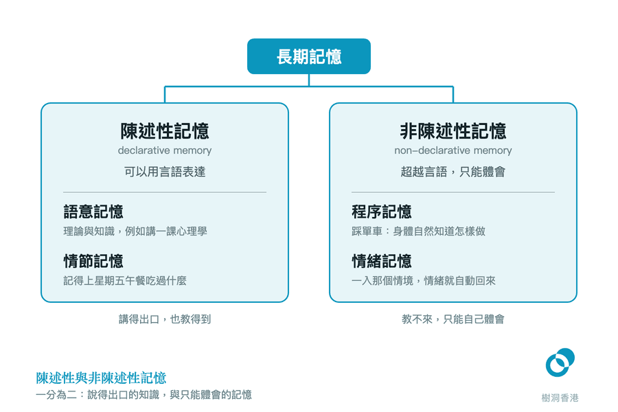 長期記憶一分為二的樹狀圖:左邊「陳述性記憶 declarative memory」可以用言語表達,下分語意記憶與情節記憶,講得出口也教得到;右邊「非陳述性記憶 non-declarative memory」超越言語,下分程序記憶與情緒記憶,教不來只能自己體會。 圖:樹洞香港