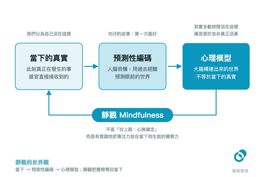 由左至右三個方塊顯示「當下的真實」經「預測性編碼」變成大腦構建的「心理模型」,下方一條回頭的箭嘴標著「靜觀 Mindfulness」,把覺察帶回當下。 圖:樹洞香港