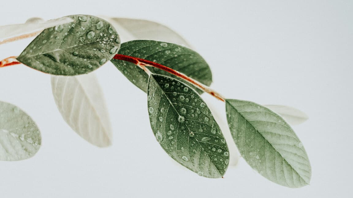 When Pain Becomes Trauma, and How We Heal