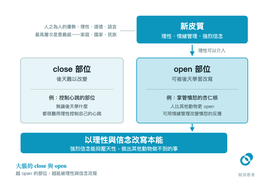 左右兩張卡把大腦部位分成 close(例:控制心跳,後天難以改變)與 open(例:掌管憤怒的杏仁核,可被後天學習改寫),上方深藍色的「新皮質:理性・情緒管理・強烈信念」以箭嘴向下壓在 open 一側,再往下指向底部深藍色橫幅「以理性與信念改寫本能」。 圖:樹洞香港