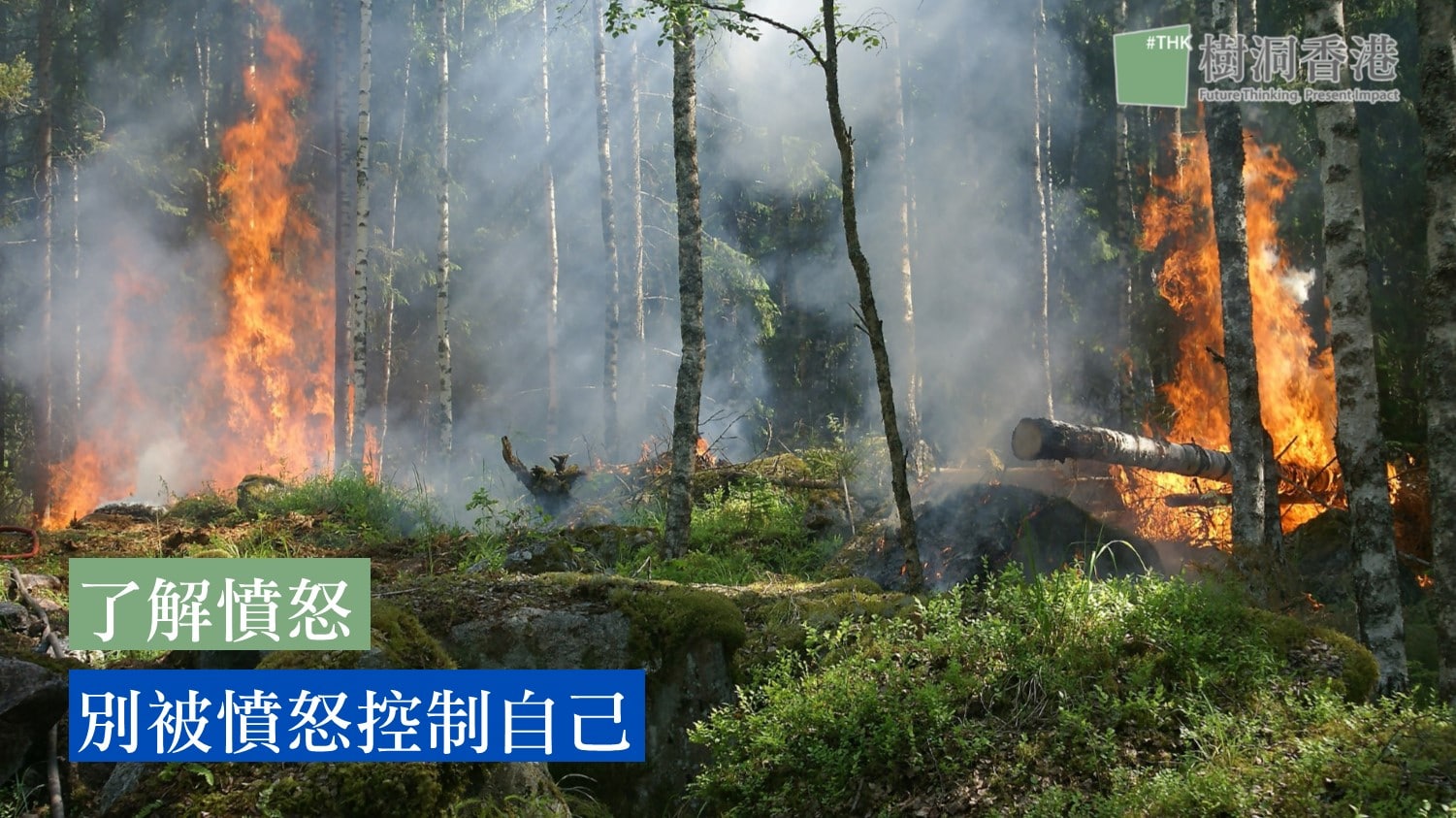 了解憤怒別被憤怒控制自己| 樹洞香港| TreeholeHK