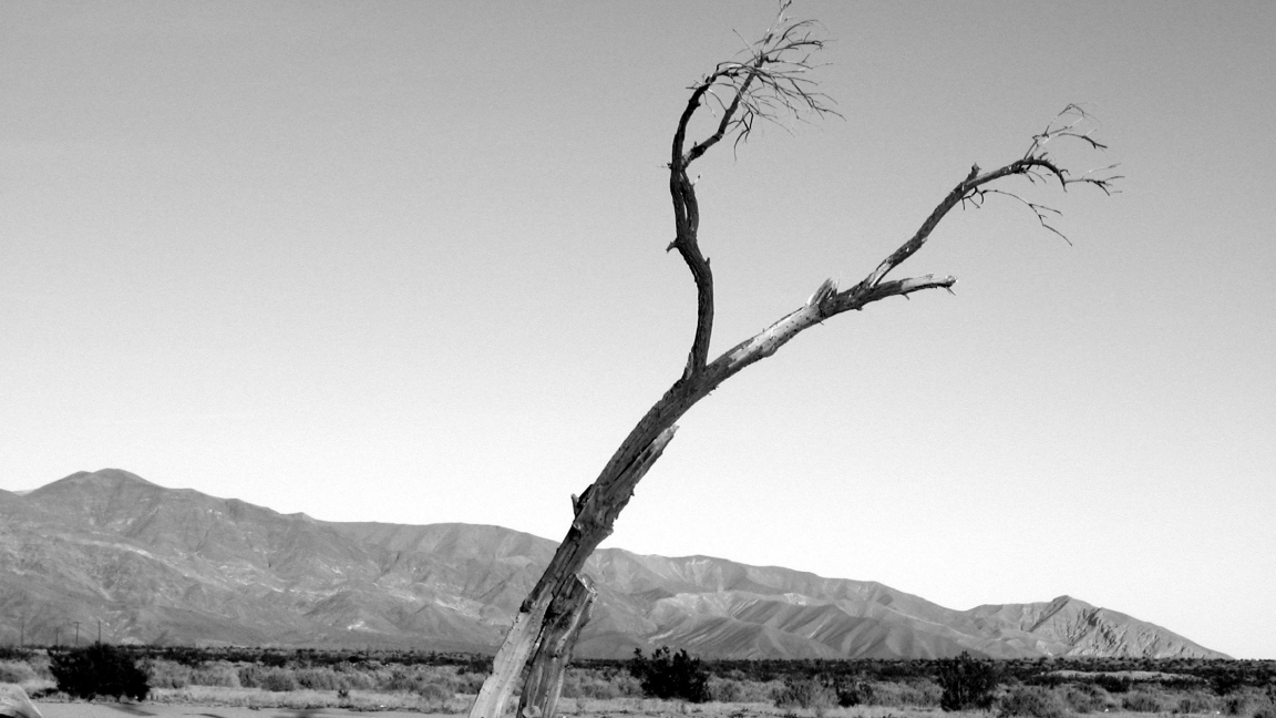 【內耗心理全解析】為甚麼你總是想太多?心理學5個方法教你擺脫內耗,找回輕鬆人生! 2 【內耗心理全解析】為甚麼你總是想太多?心理學5個方法教你擺脫內耗,找回輕鬆人生! 2