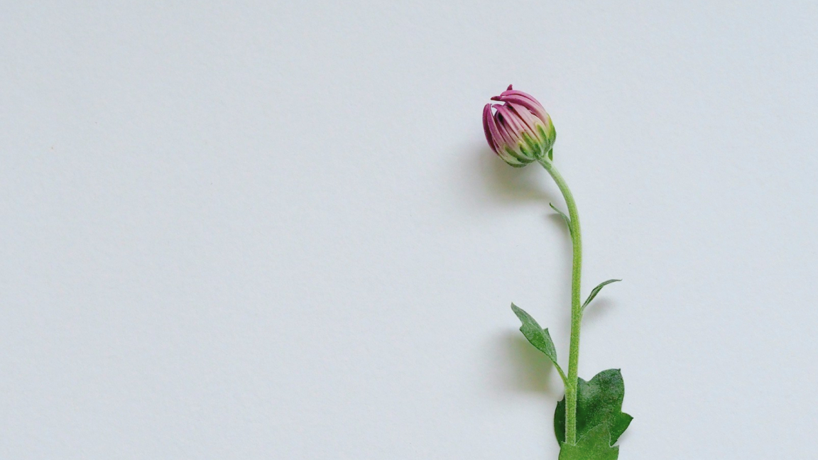 【單身心理學】單身是一種選擇——為甚麼一個人也可以活得幸福又有力量？ 4