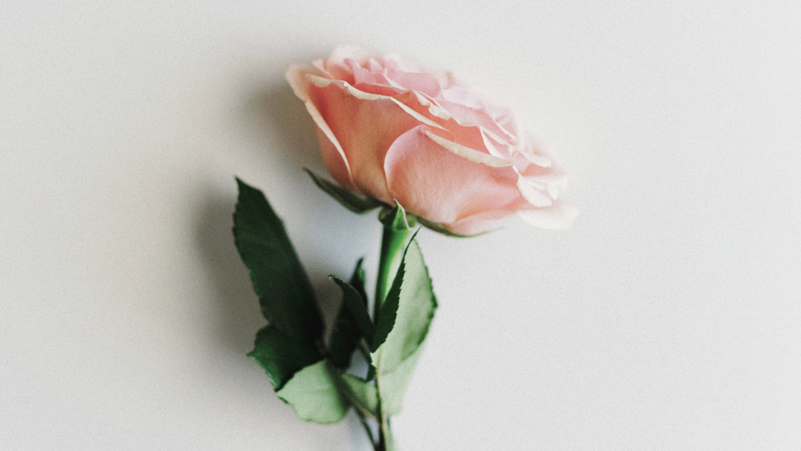 表白心理學 ：勇敢說出口的5個技巧，不論成功或失敗，都是成長的開始 2